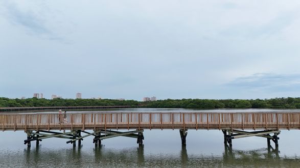 Ecopark Ciénaga De Mallorquín