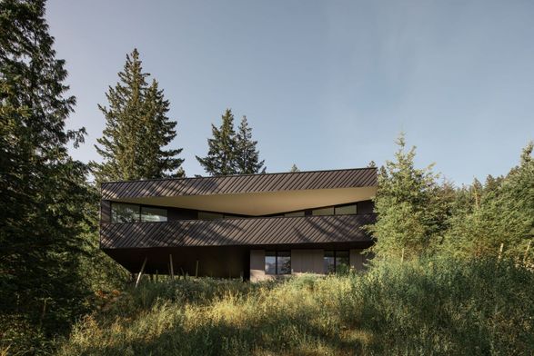Passive House Forest Retreat