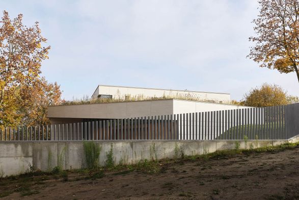 The Green Courtyard House