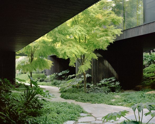 House In A Garden