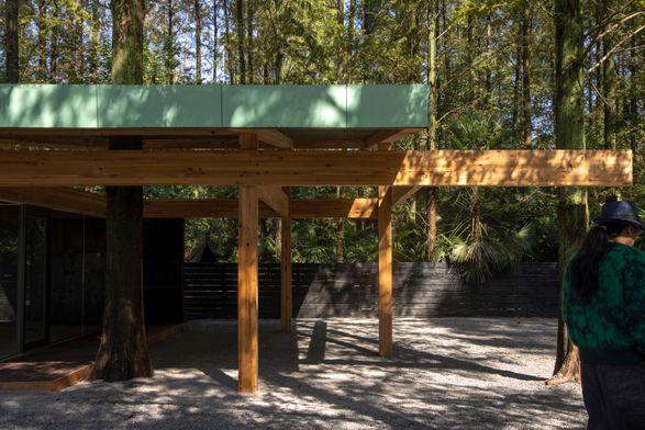 Wiki World Forest Store