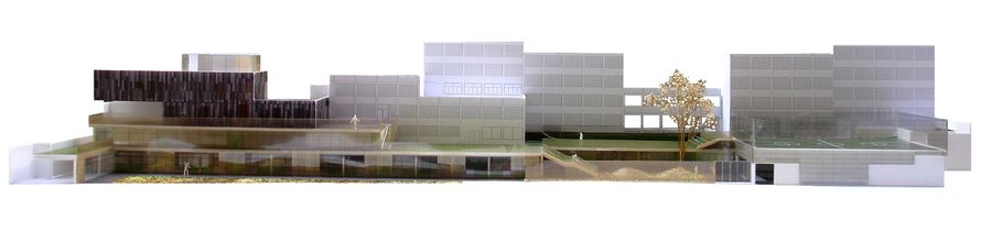Sant Gregori School Remodelling and Extension