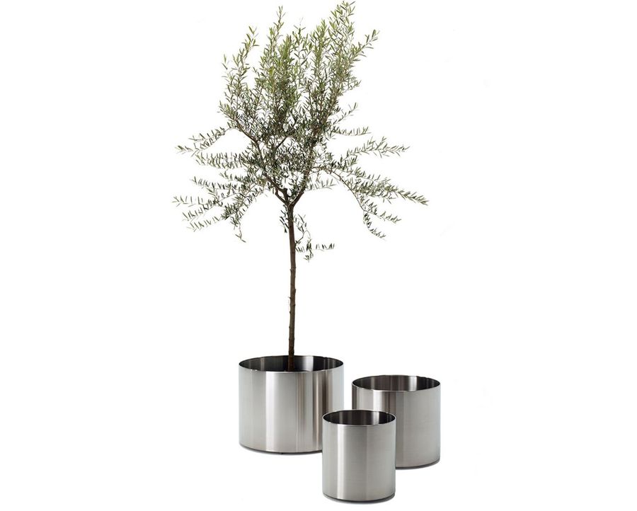 Rexite Nox Flora Steel Vase