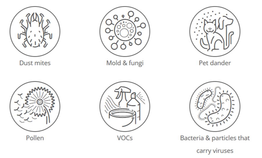 Rabbit Air A3 Ultra Quiet Air Purifier