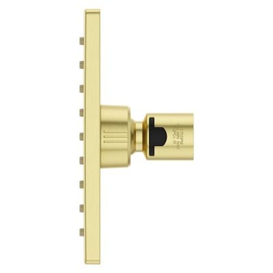Pfister Faucets Pfirst Modern Raincan Showerhead