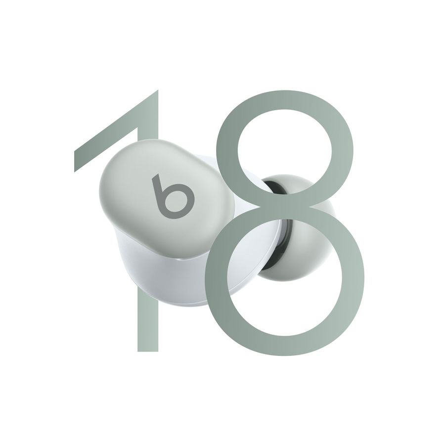 Beatsbydre Beats Solo Buds