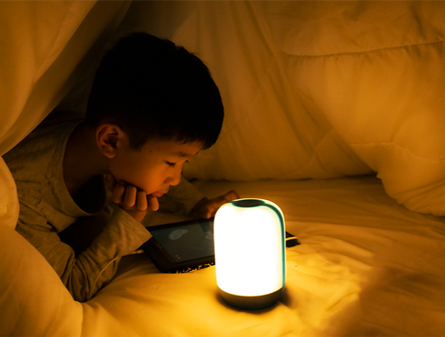 Biolite AlpenGlow 500 Lumen Multicolor USB Lantern
