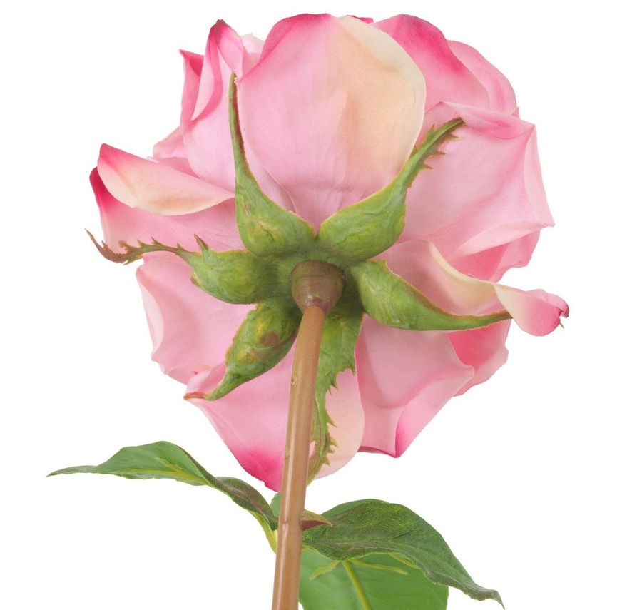 Eichholtz Bouquet Of Roses Real Touch 72 Pcs/3 Varieties Decor & Artifical Plant