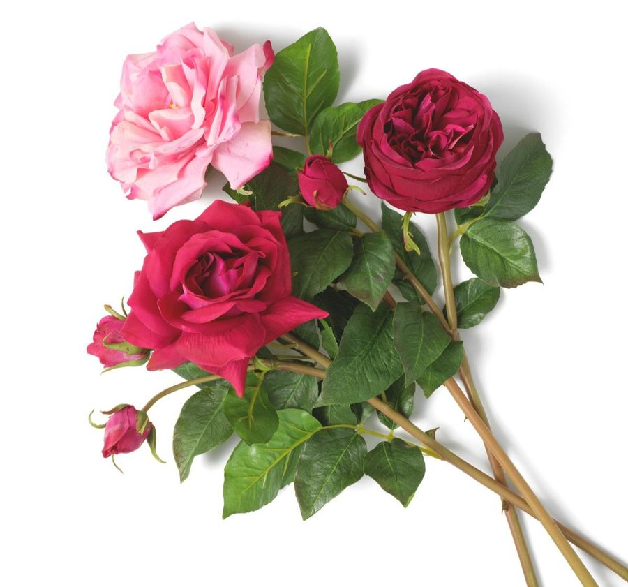 Eichholtz Bouquet Of Roses Real Touch 72 Pcs/3 Varieties Decor & Artifical Plant