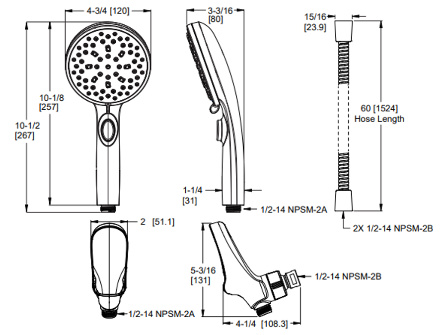 Pfister Faucets Hydrofuse™ Handheld Shower
