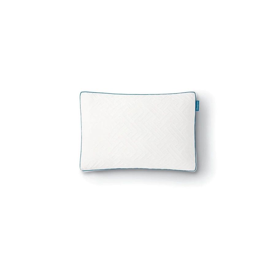 Wayfair Beautyrest Deluxe Down Alternative Pillow