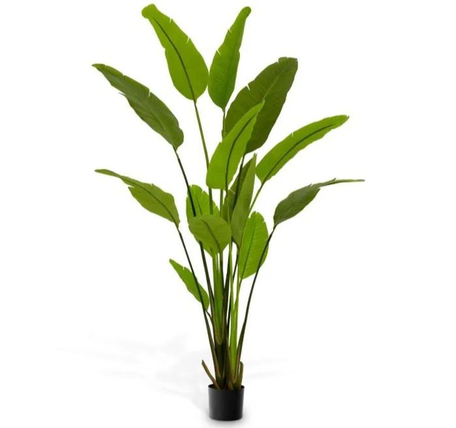 Eichholtz Artificial Plant Strelitzia M