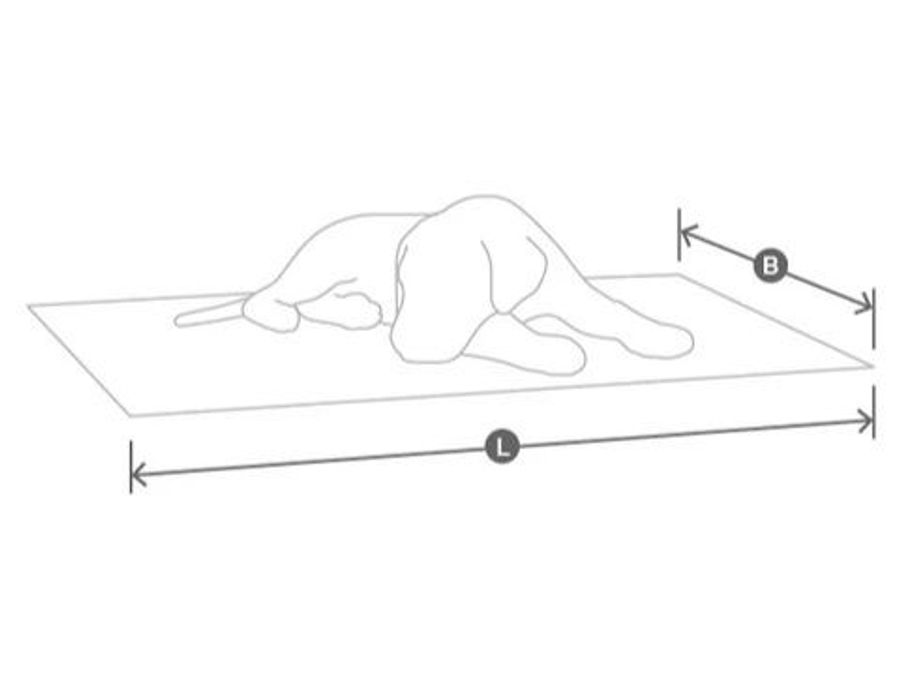 Miacara Senso Dog Blanket