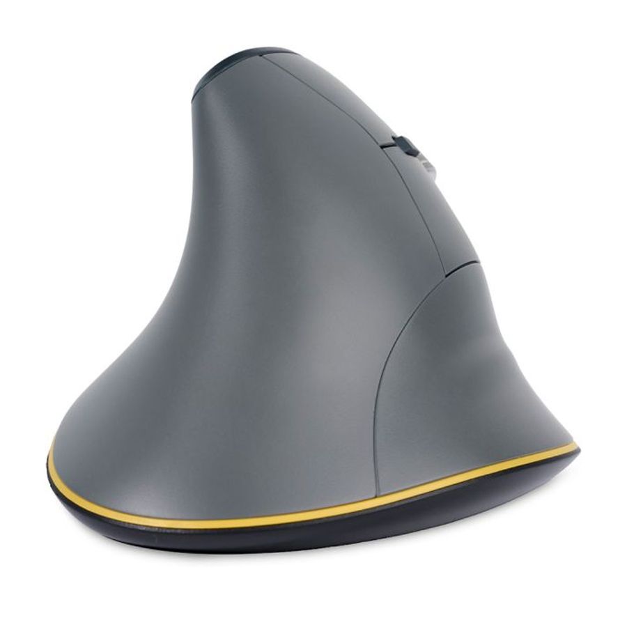 Posturite Bakkerelkhuizen Fastforward Vertical Mouse