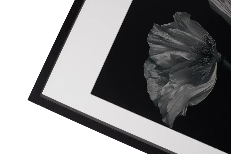 Boconcept Flora 2 Photo Art