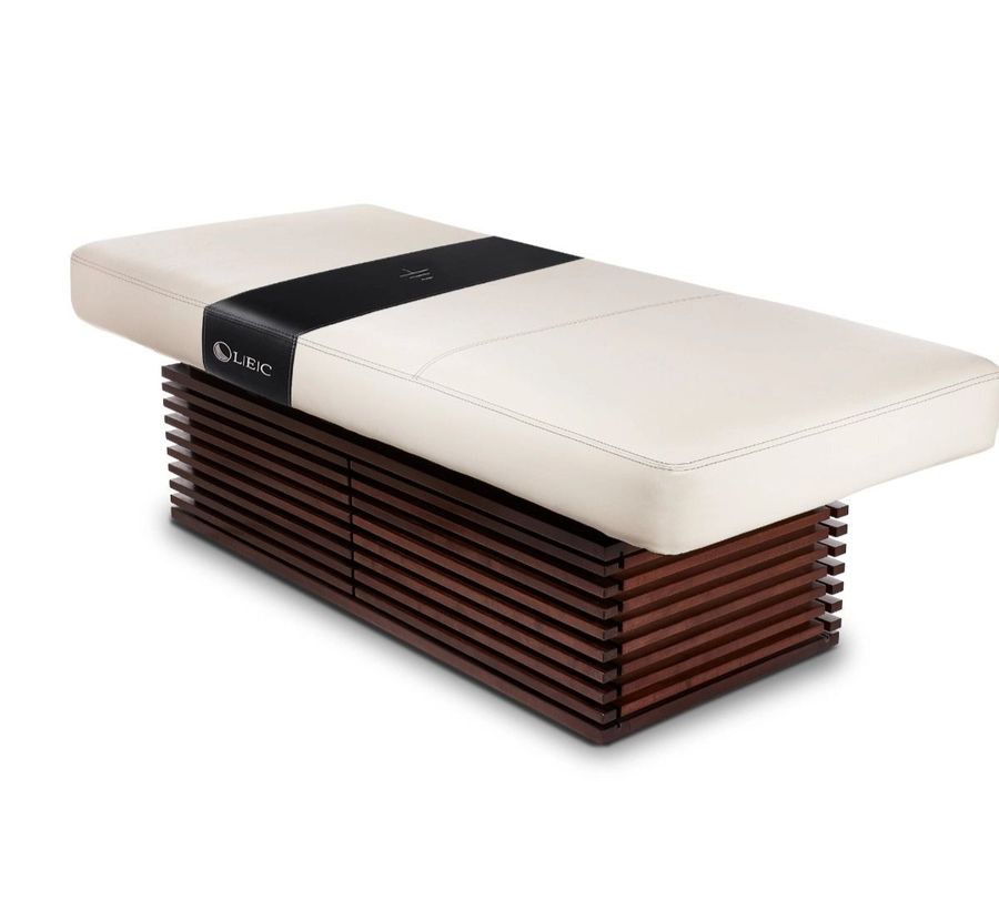 Living Earth Crafts Insignia 2.0 Modern™ Multi-purpose Treatment Table W/Replaceable Mattress