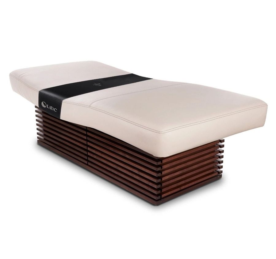 Living Earth Crafts Insignia 2.0 Modern™ Multi-purpose Treatment Table W/Replaceable Mattress