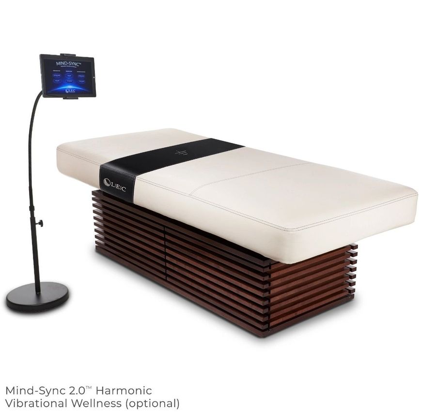 Living Earth Crafts Insignia 2.0 Modern™ Multi-purpose Treatment Table W/Replaceable Mattress