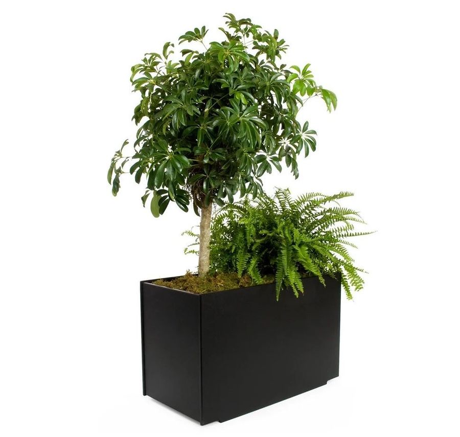 Loll Designs Mondo Double Planter