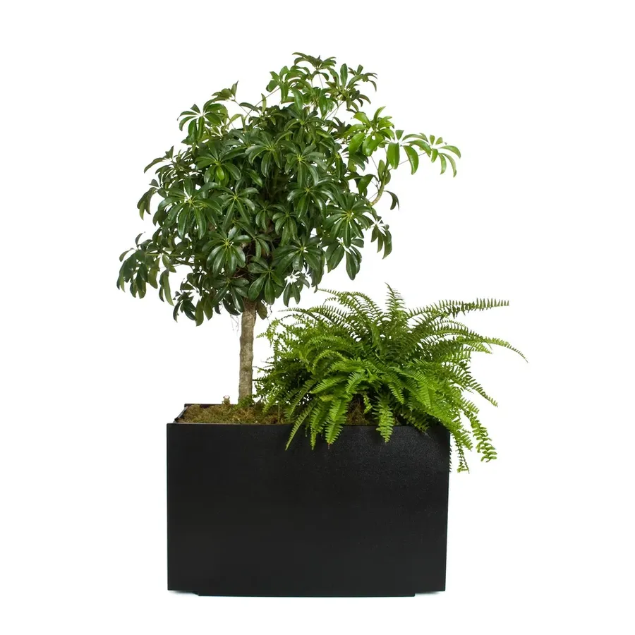Loll Designs Mondo Double Planter