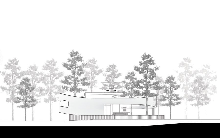 Casa 81