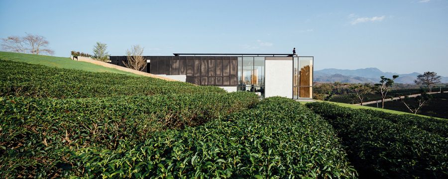 Choui Fong Tea Café