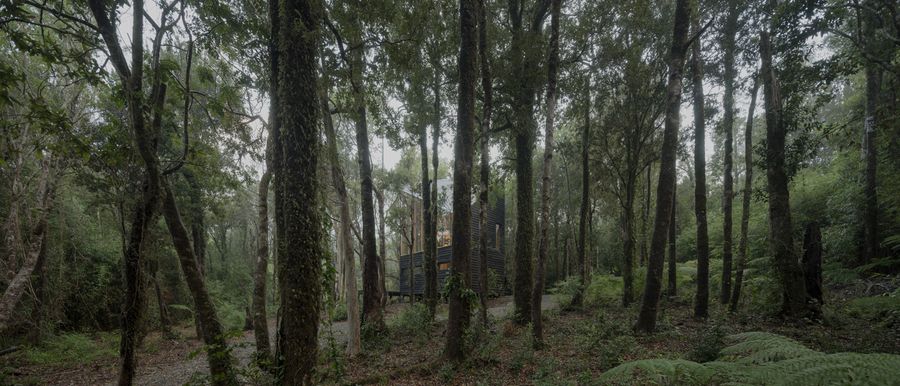 Refugio Calfuco