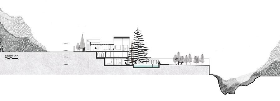 A House Looking to A Cedrus Tree