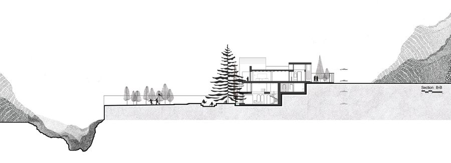 A House Looking to A Cedrus Tree