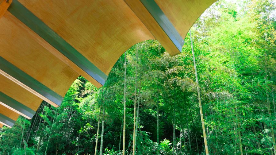 Pomegranate Garden Micro Building