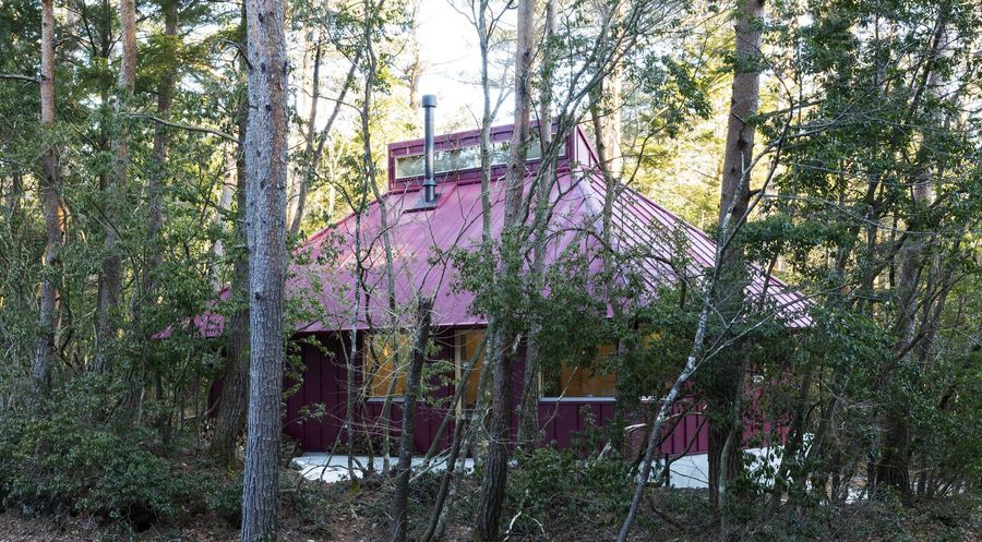 House in the Forest