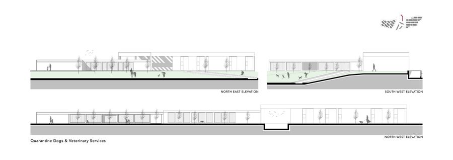 Pako Street Animal Social Life Campus