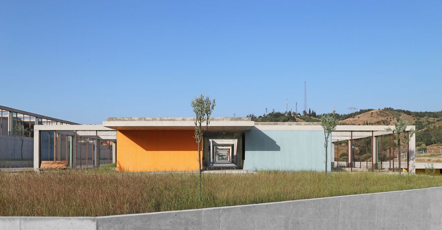 Pako Street Animal Social Life Campus