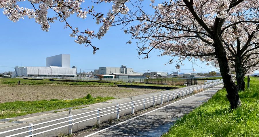 Nakano Seiyaku Kusatsu Factory