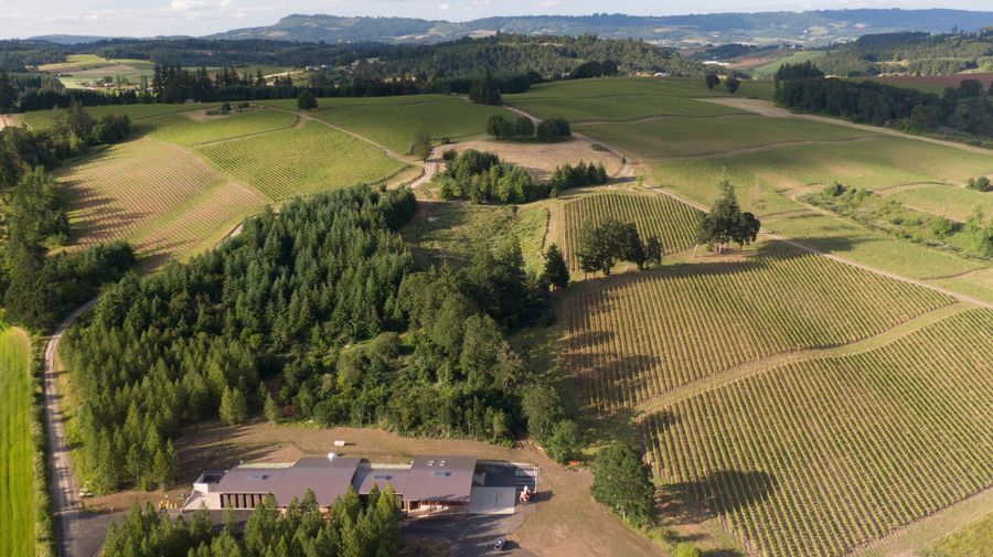 Abbott Claim Winery