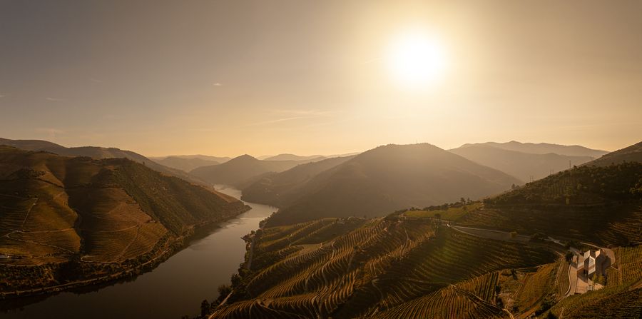 Adorigo Farm Winery