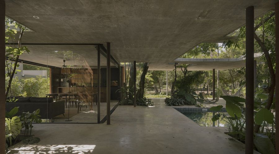 A Forest In The House