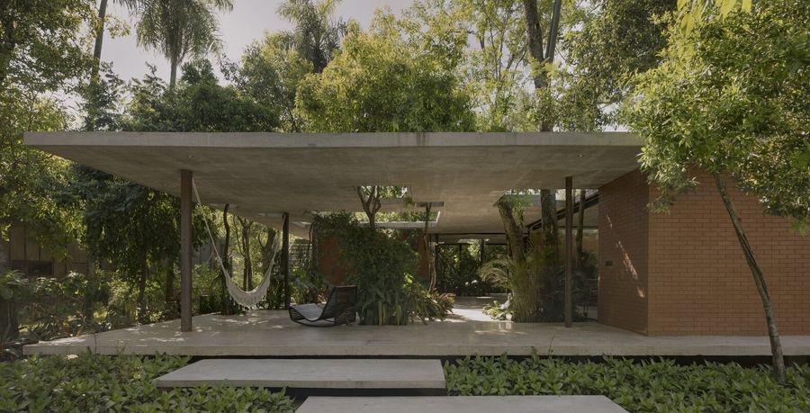 A Forest In The House