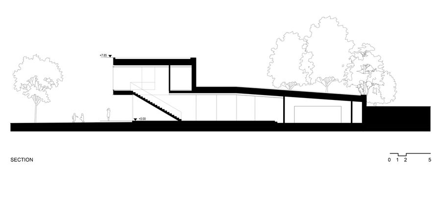 The Green Courtyard House