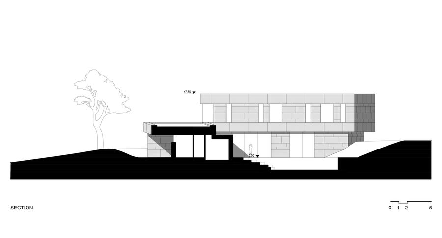 The Green Courtyard House