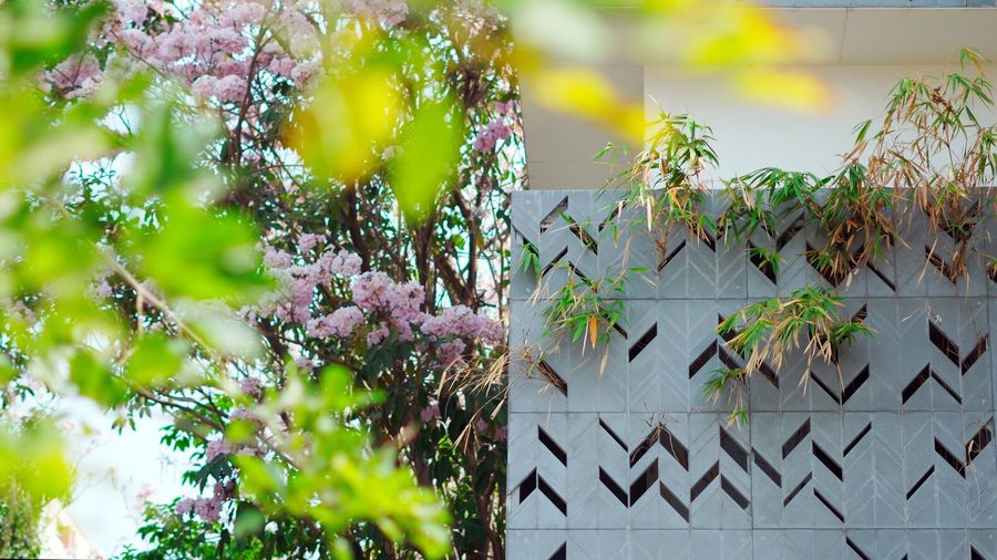 The Blooming Haus