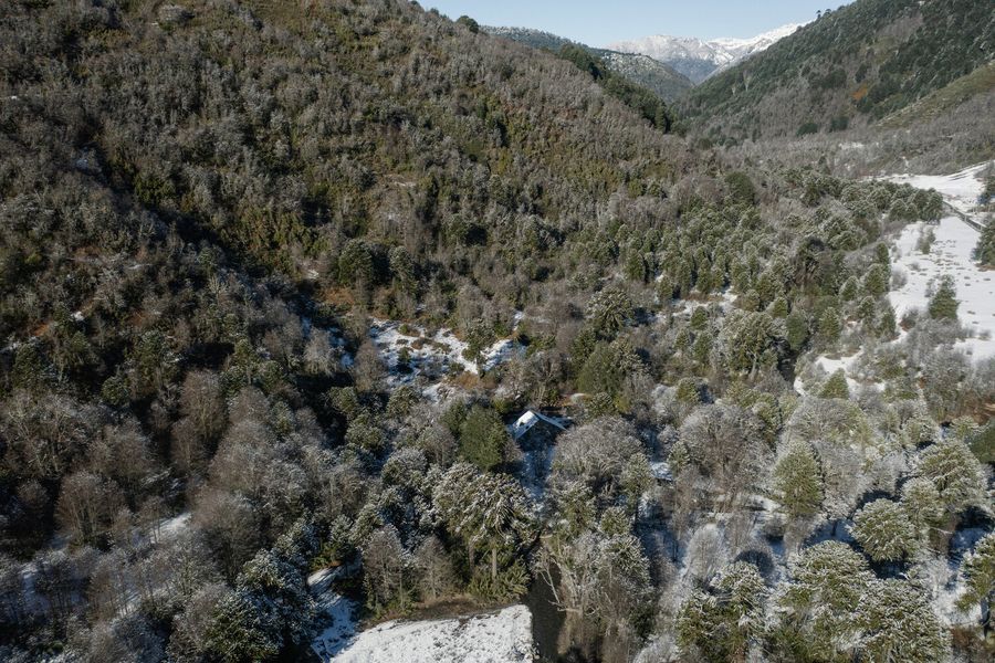 House On The Cautín River