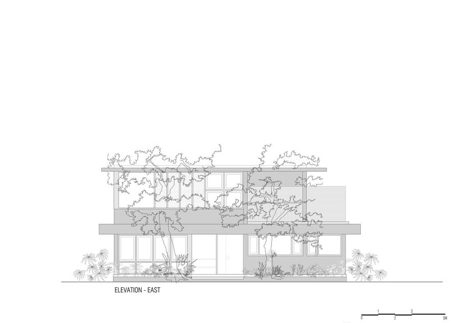 House Beyond The Mango Trees